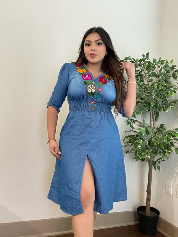 Alba Denim Dress