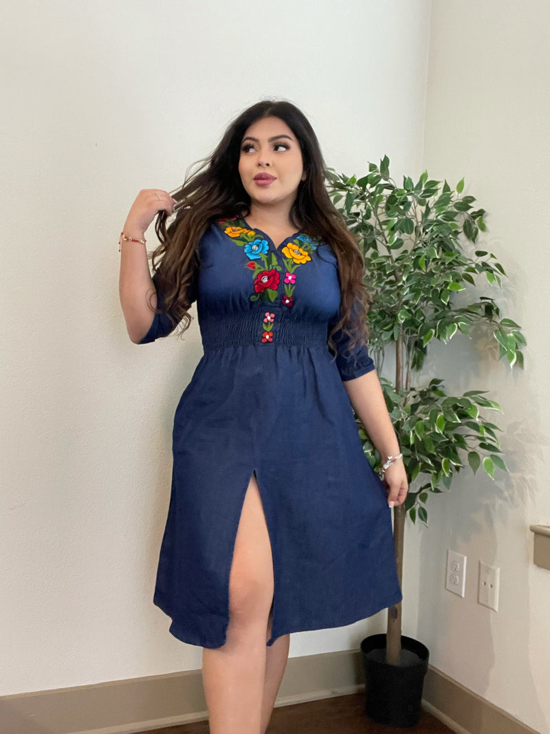 Alba Denim Dress